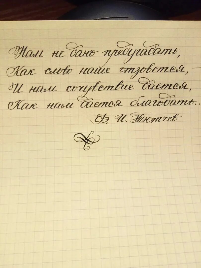 Красивый почерк. Очень красивый почерк. Красивый почерк на русском. Красивый необычный почерк. Красивый почерк примеры