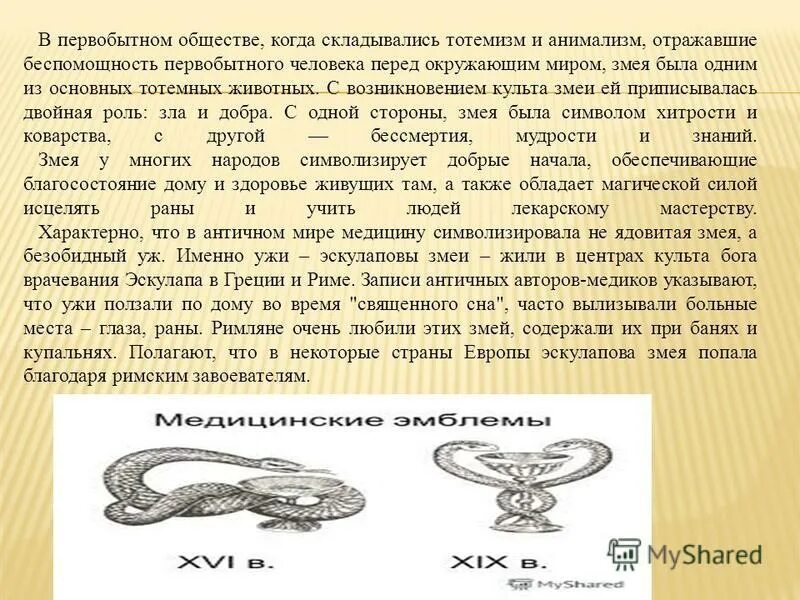 люди рожденные в год змеи. 2001 год год змеи. змея характеристика знака. козерог змея женщина. год змеи характеристика мужчина.