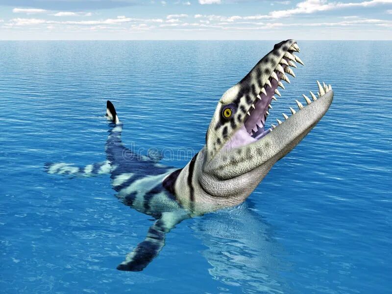 Дакозавр. Дакозавр морской крокодил. дакозавр (dakosaurus). дакозавр фото. талаттозухии.