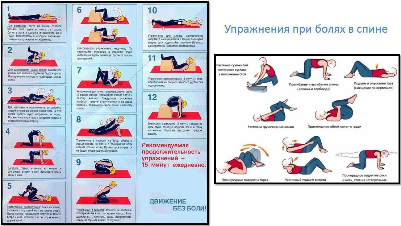 Гимнастика для спины при грыже поясничного отдела и остеохондрозе. Упражнения для мышц поясничного отдела позвоночника при грыже. Комплекс упражнений для спины при грыже в поясничном отделе. Гимнастика для грыжи поясничного отдела позвоночника при болях.