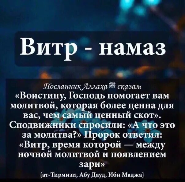 Таравих вслух или про себя. Витр намаз. Тахаджуд намаз и витр намаз. Как читать ифтар намаз. Как совершается витр намаз.