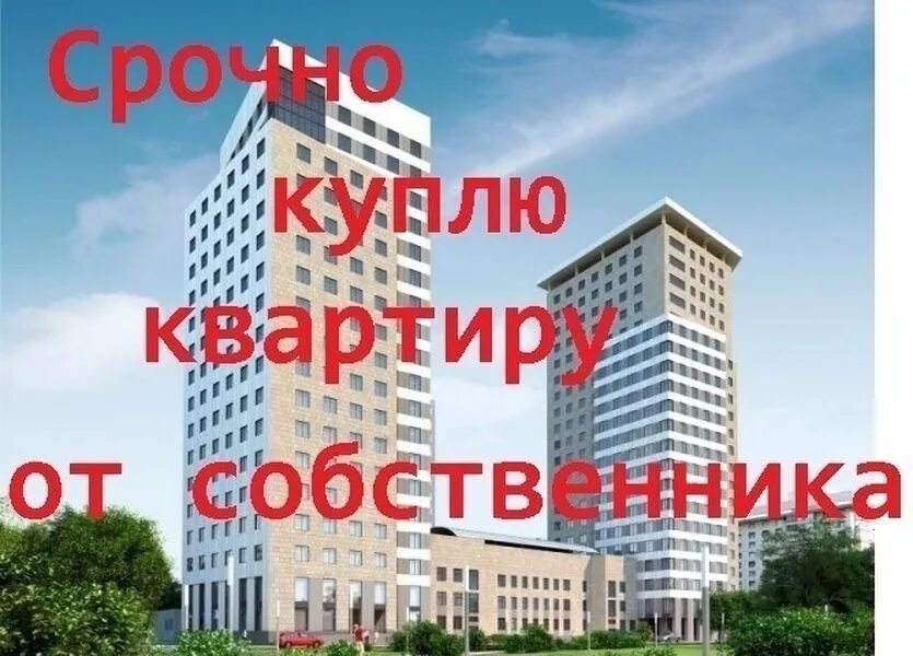 Срочно куплю от собственника. Картинка каплю квартиру. Куплю квартиру картинка. Срочно куплю квартиру. Куплю однокомнатную квартиру картинки.