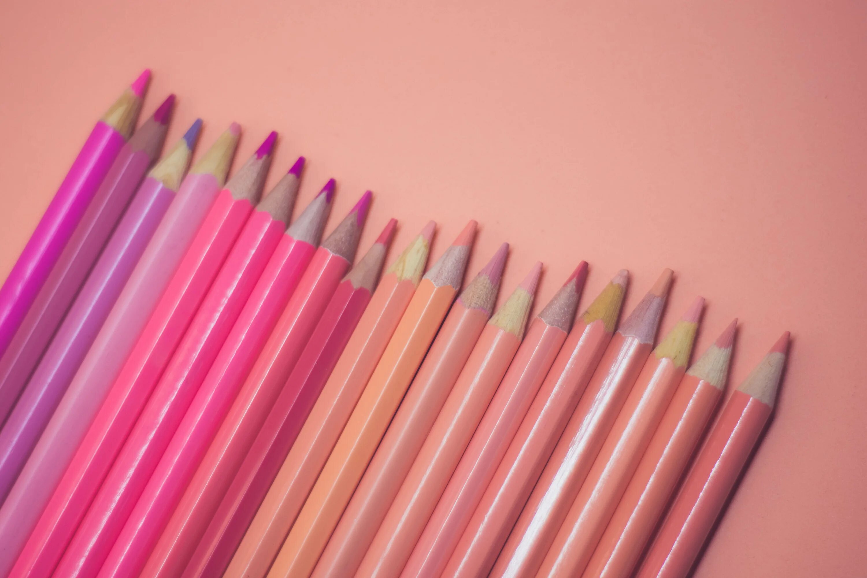 Розовые карандаши цветные. Pencil is pink. Розовый карандаш. Розовый карандаш. Громадный карандаш розовый.