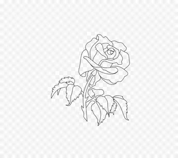 Rose line