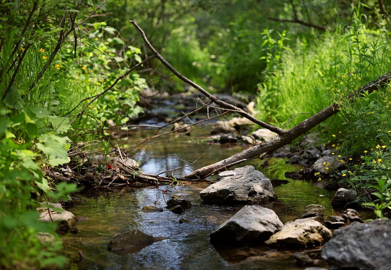 Running water river. Хайзовый ручей. Детские стихи про ручьи. Вода река. Разлившийся ручей.