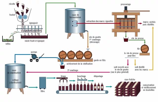 Производство виноградных вин. Производство вина технология схема. Схема производства вермута. Схема процесса виноделия. Технологическая схема производства вина из винограда.