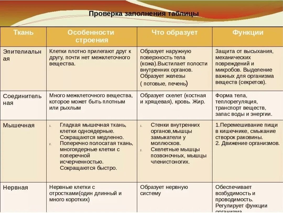 Отличие тканей. Таблица ткани животных 7 класс биология. Таблица по биологии вид ткани особенности строения функции. Таблица по биологии ткани особенности их строения и функции. Соединительная ткань строение и функции таблица.