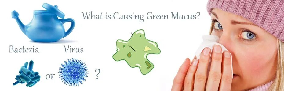 Зеленые сопли это вирус или бактерии. Ярко зеленые сопли у взрослого. Яркая зеленая слизь из носа. Причины появления зеленых. Вирус слизь