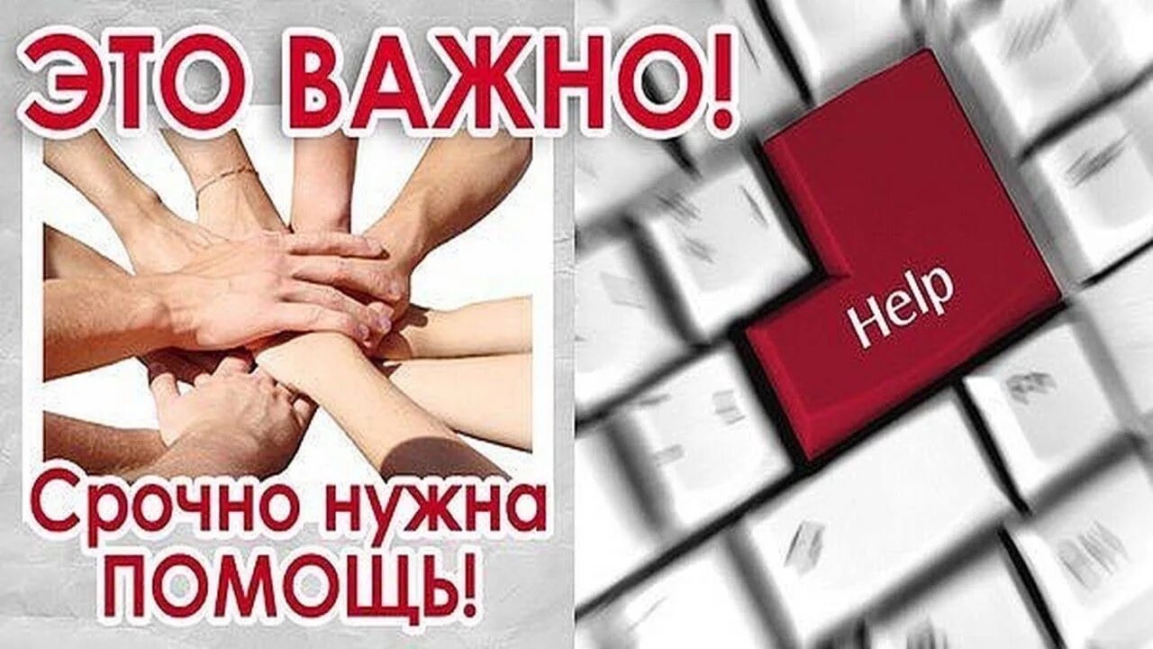 Срочно нужна помощь. Нужна помощь. Очень нужна помощь. Очень нужна помощь сос. Срочно подобно