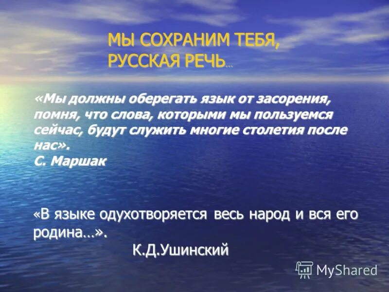 Закон о сохранении русского языка. Владение русским языком. Сохраним русский язык. Русское слово книга. Социальный проект сохранение русского языка.