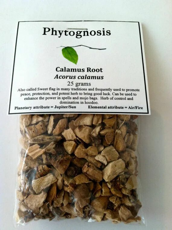 Корень аира. Acorus Calamus препараты. Calamus root. Настой корневища аира болотного.