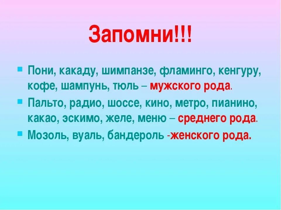 Территория какого рода. Какого рода слово тюль. Тюль род. Род слова. Какого рода слово кенгуру.