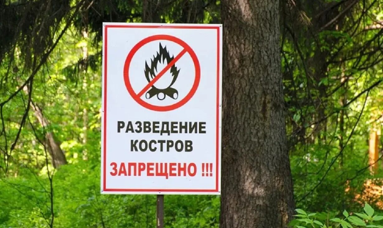 Разведение открытого огня запрещено. Запрет на костры. Запрет на костры. Разведение костров запрещено. Табличка о запрете разведения костров.