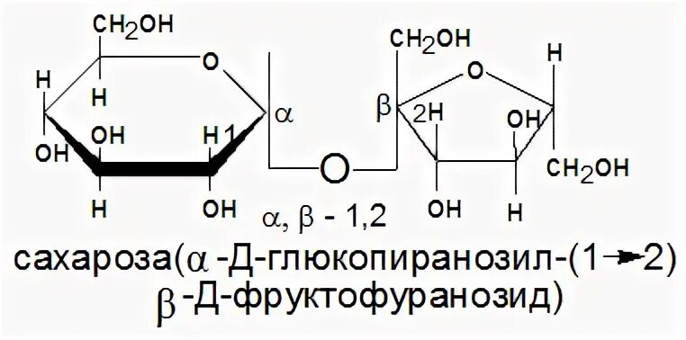 Сахароза функции
