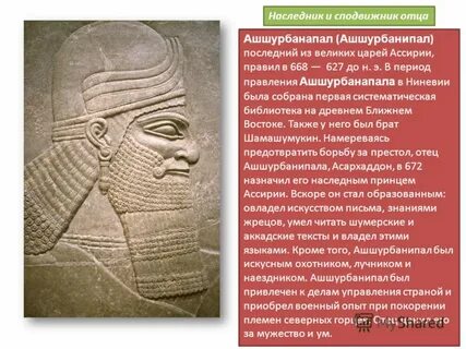 Ашшурбанапал история 5 класс