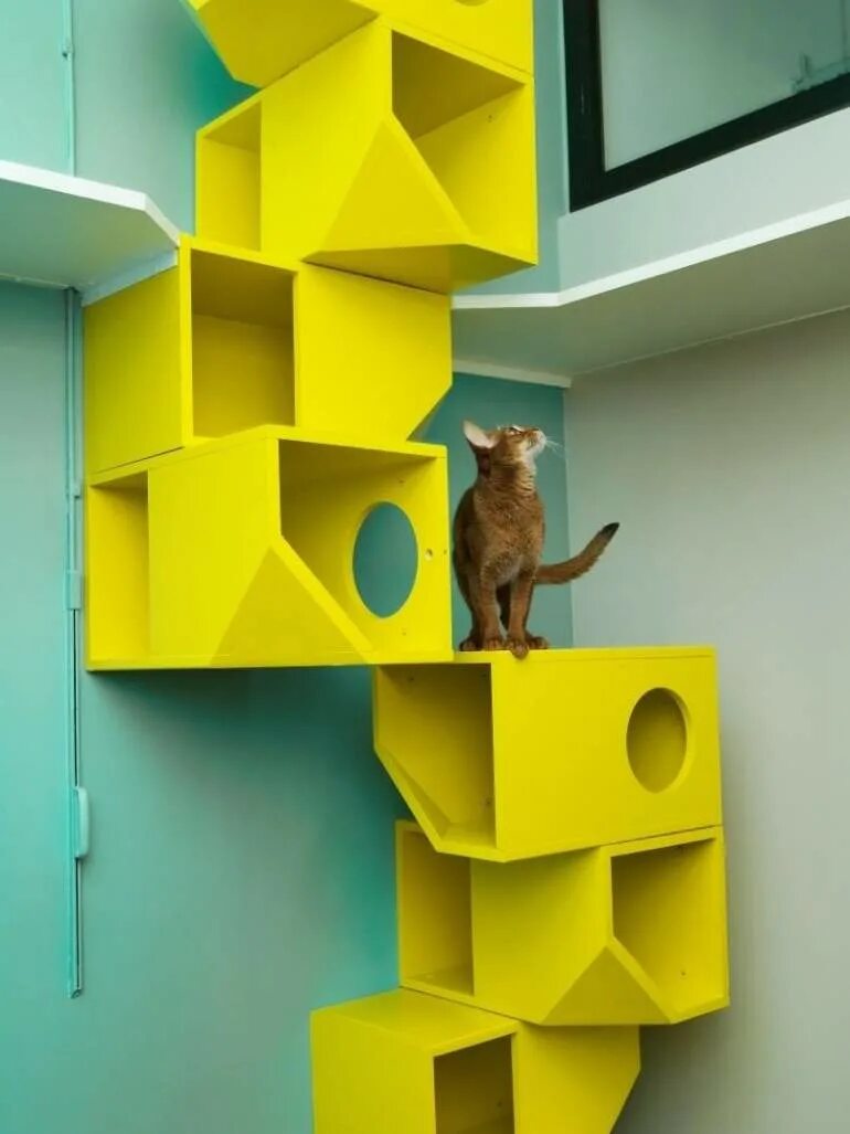 Домик для кошек. Оригинальные домики для кошек. Многоэтажный домик для кошки. Самые необычные домики для кошек. Развлечения для кошек