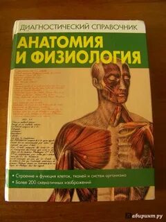 Физиология человека краткий курс