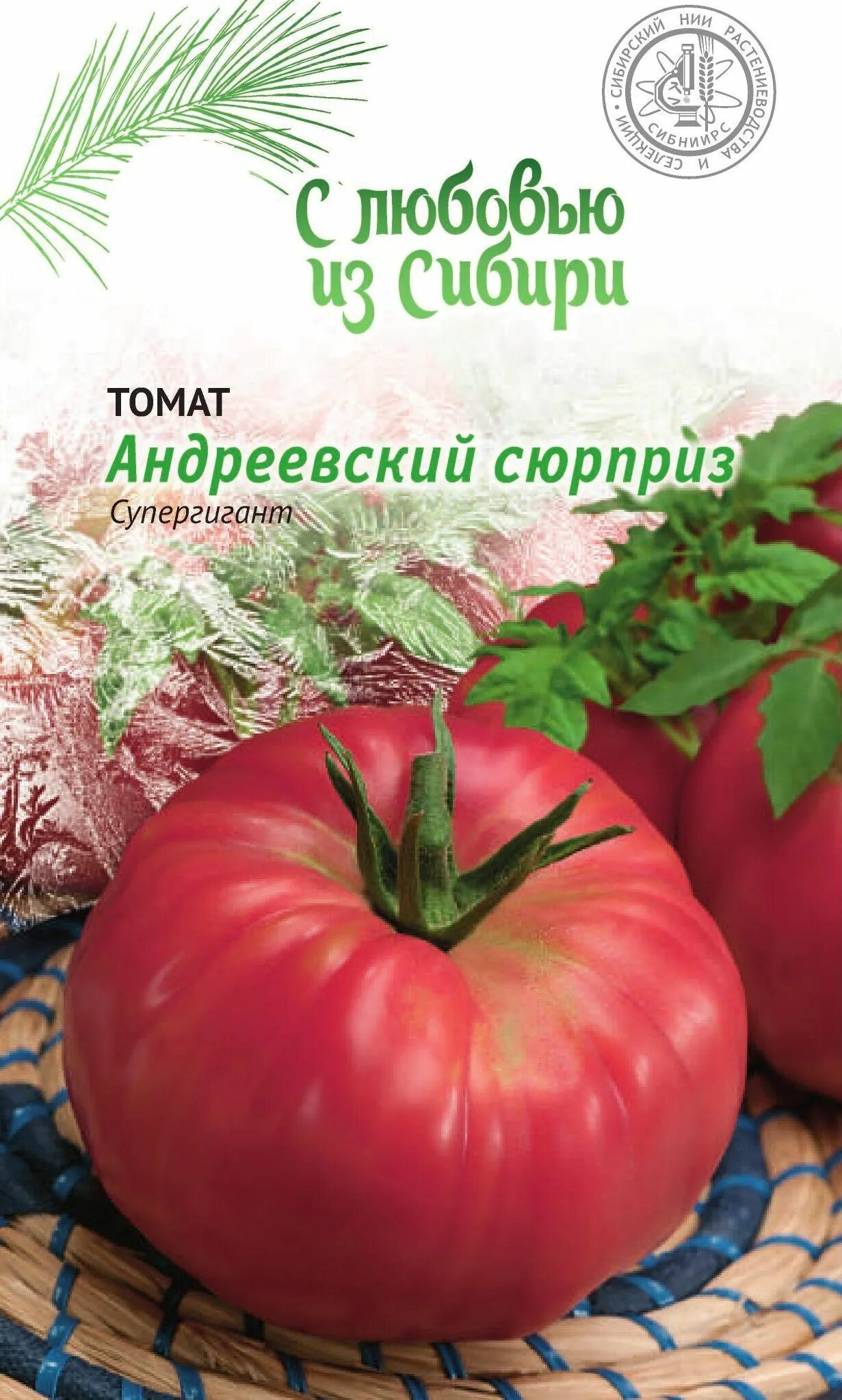 Помидоры сюрприз. Сорт помидор Андреевский сюрприз. Александровский сюрприз томат. Томат Андреевский сюрприз семена Алтая. Андреевский сюрприз томат описание.