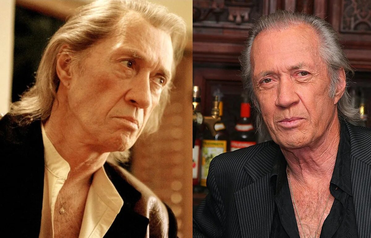 Билл найи актер. Дэвид кэррадайн убить билла. Дэвид кэррадайн в роли билла. Актер сыгравший билла. Билл скарсгард фото.