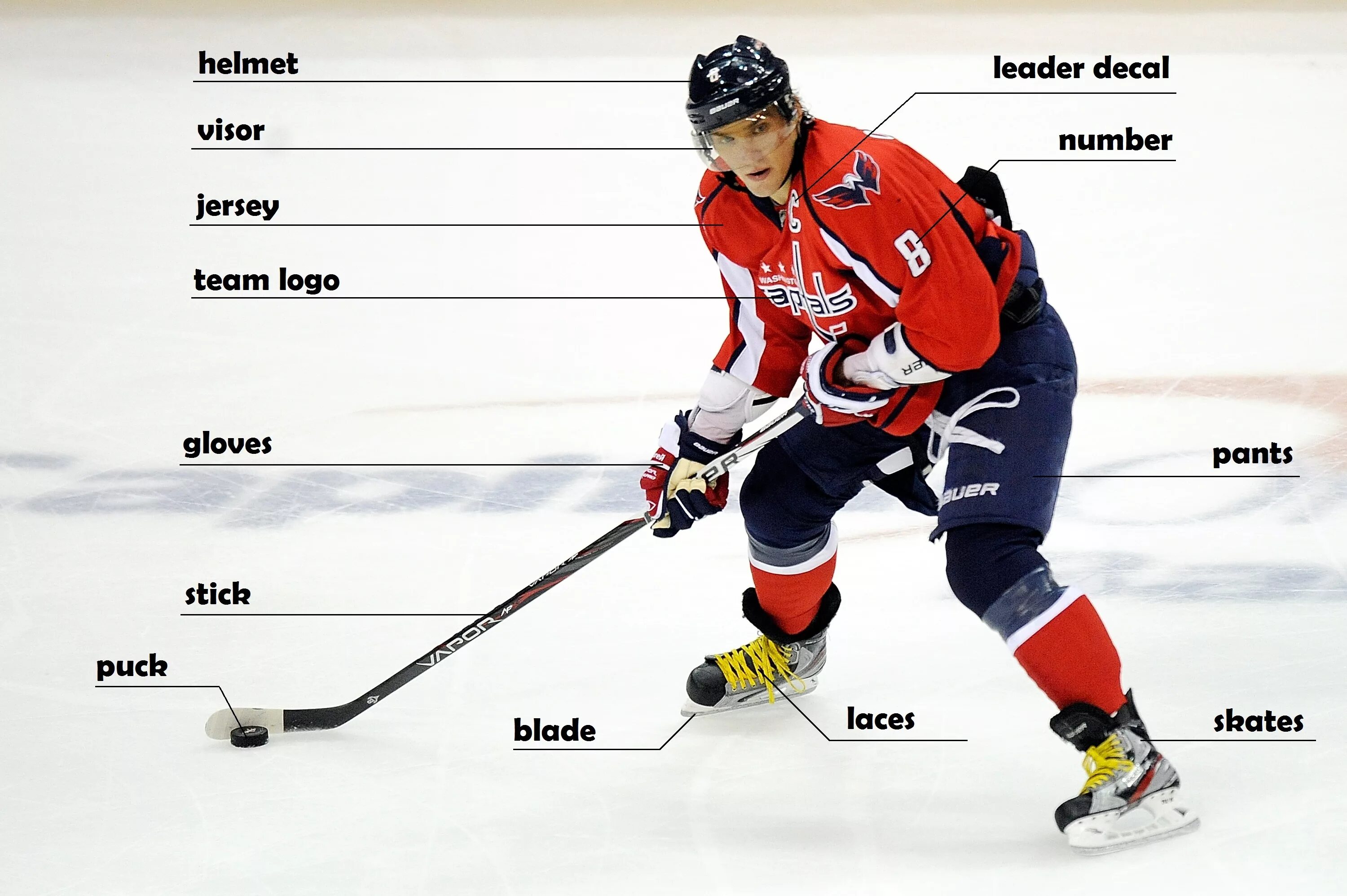 Заниматься хоккеем на английском. Пиктограмма хоккей. Презентация про хоккей на английском языке. Проект по английскому хоккей. Хоккеист на английском.