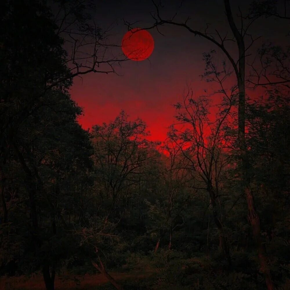 Кровавая луна акаме. Кровавая луна / bloodmoon (1997). Кровавая луна наруто итачи. Окровавленная луна. Кровавая луна 2022.