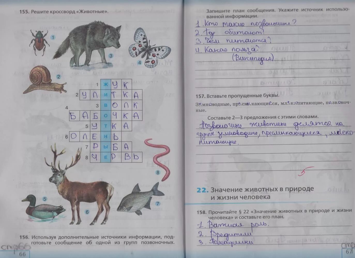 Рт стр 12. Биология 5 класс рабочая тетрадь стр 66-67. биология 5 класс рабочая тетрадь стр 5. домашняя работа по биологии. биология 5 класс рабочая тетрадь страница 22.
