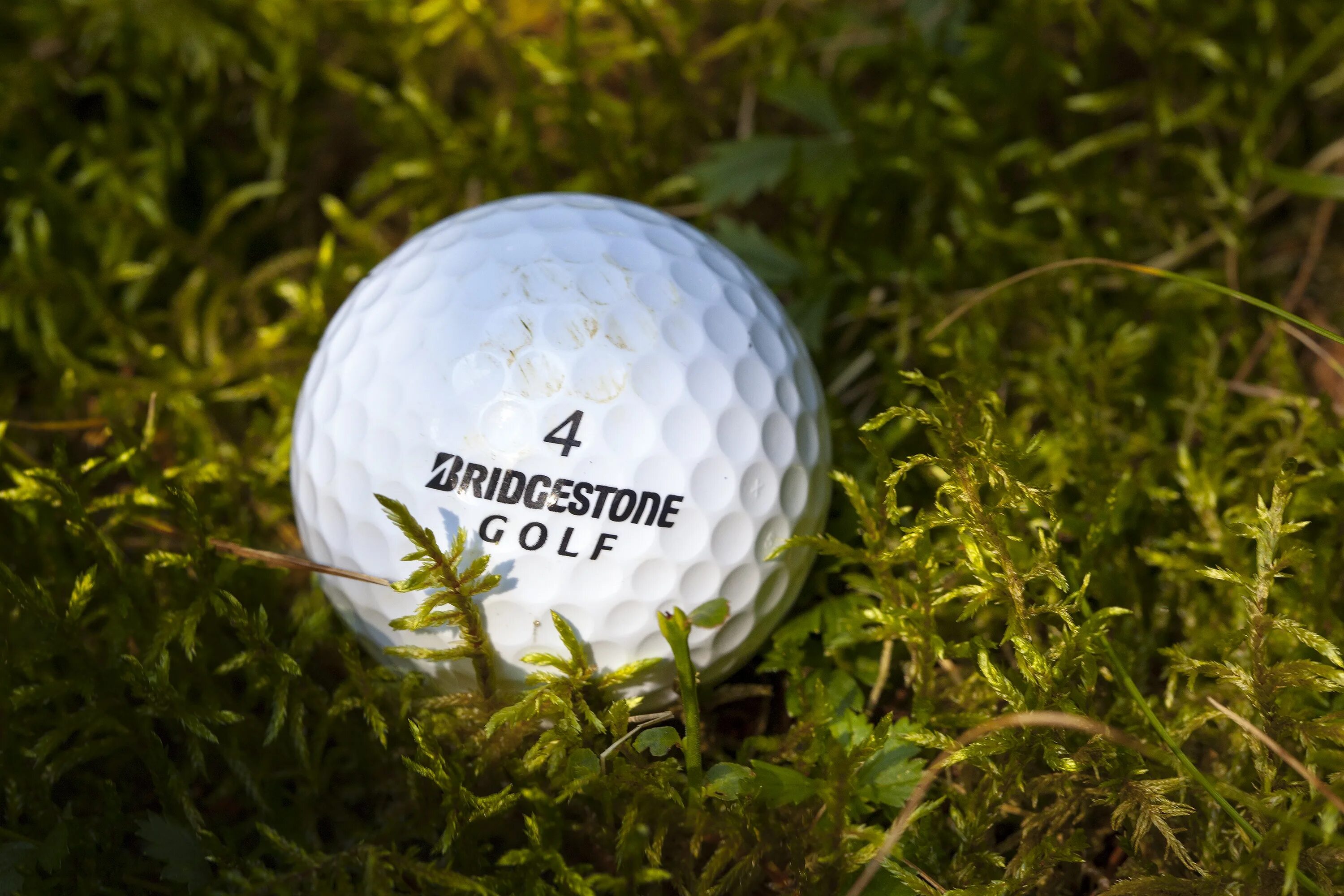 Мяч для гольфа. Мячи для гольфа Потерявшиеся. Bridgestone Golf. Футбольный мяч на траве. Lost ball