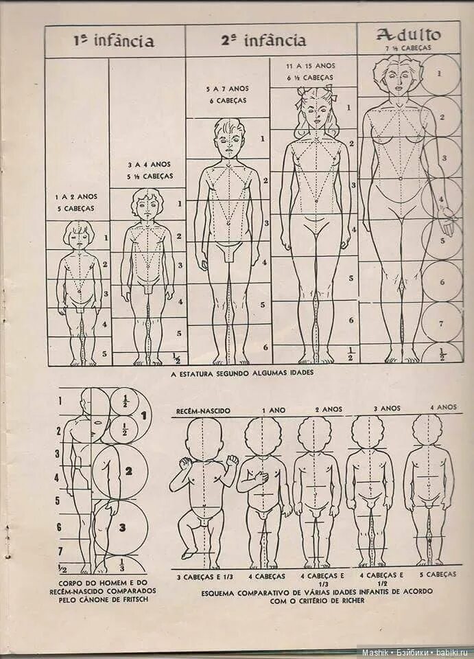 Сколько голов в взрослом человеке. Схема пропорций тела ребенка. Пропорции тела человека таблица для художников. Пропорции человеческого тела для детей. Пропорции тела человека схема для детей.