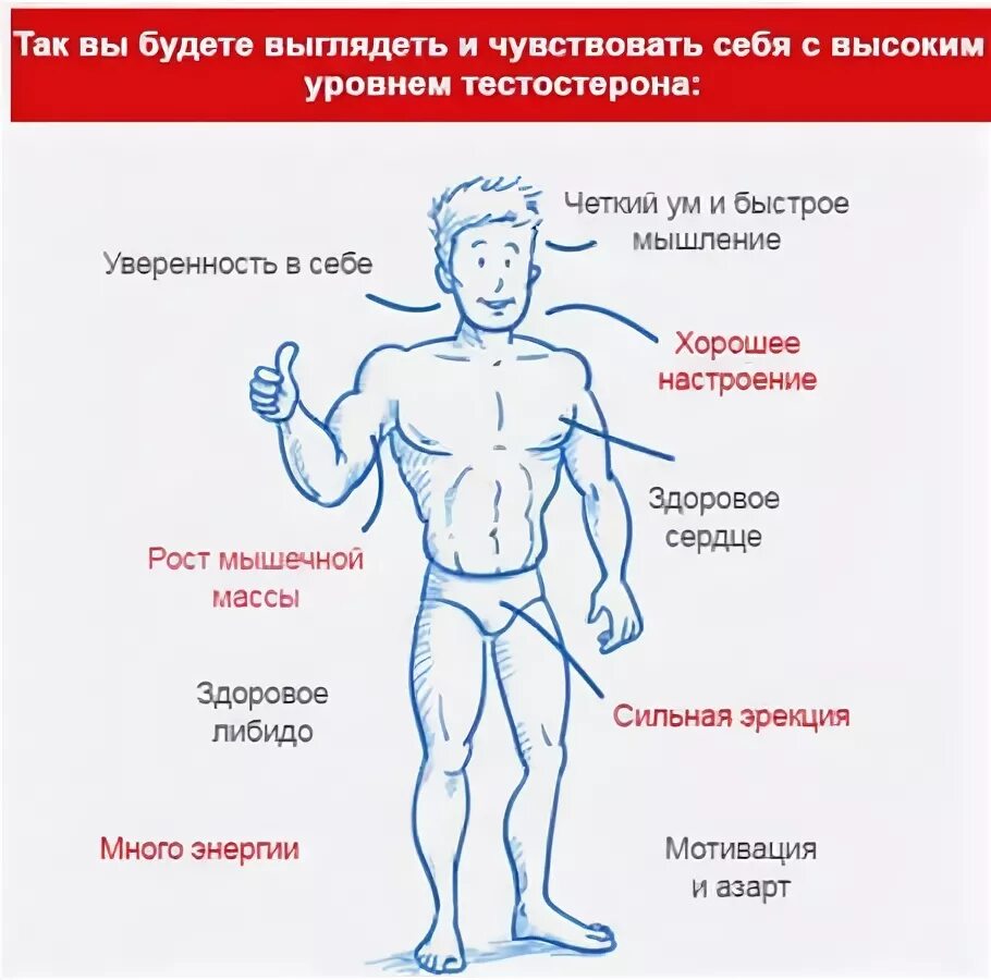 Как определить уровень мужчины. Повышенный уровень тестостерона. тестостерон у мужчин. низкий уровень тестостерона у мужчин. тестостерон влияние на организм.