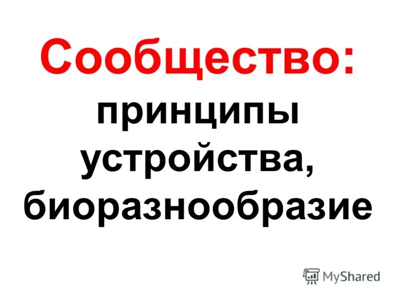 принцип доступности в педагогике. прикол соблюдайте кодекс этики. принципы формирования городской среды. соблюдайте принципы нашего сообщества. принципы сообщества.