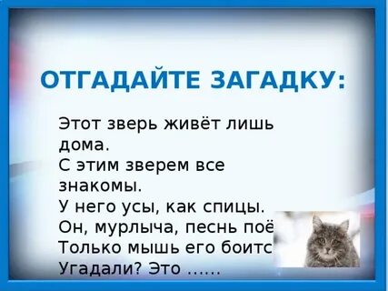 Изложение 3 класс однажды кот совершил благородный