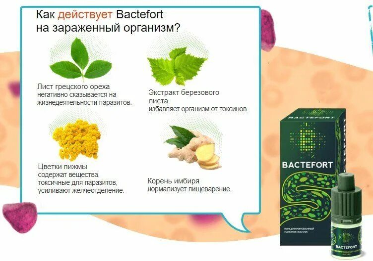 Препараты для очистки организма от паразитов. Таблетки для очистки организма от паразитов. Средство от паразитов в организме человека. Лекарства для выведения паразитов из организма. Очистки организма от паразитов