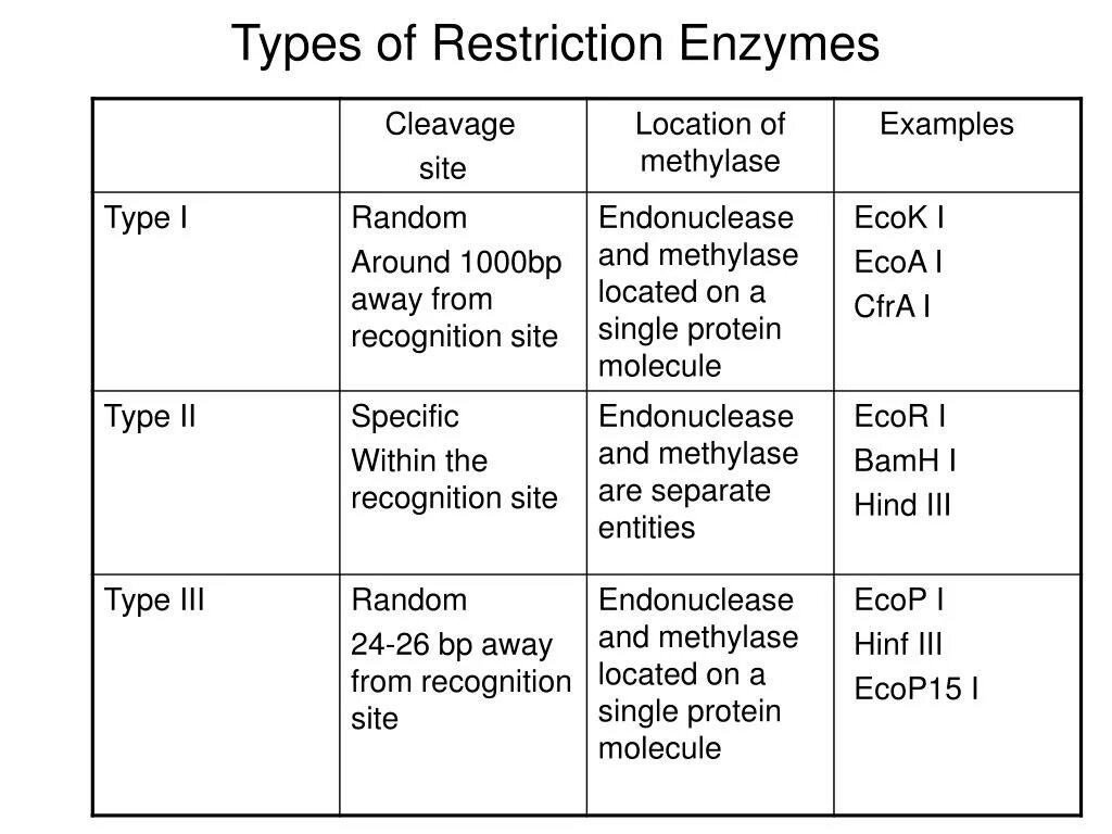 Restriction Enzyme. Type 2 restriction Enzyme. Type 2p restriction Enzyme. Restriction Enzyme база данных. Sites type 1