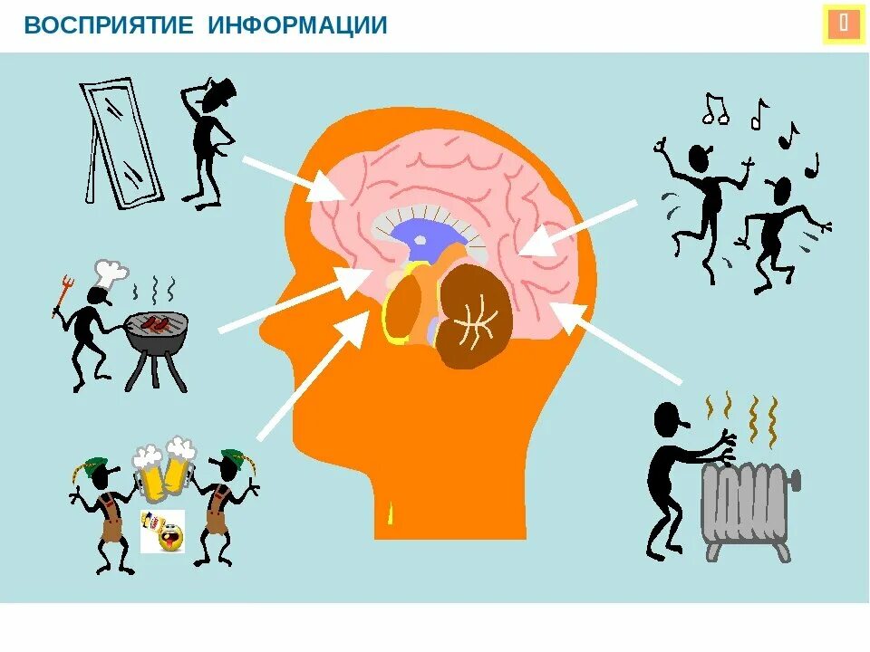 Восприятие мозгом информации. Восприятие информации. Восприятие информации человеком. Рисунки на тему восприятие информации. Разное восприятие информации.