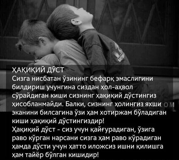 Dost sherlar