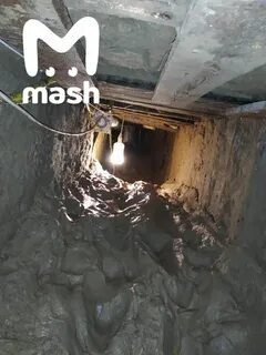 Новости сбежал из дома