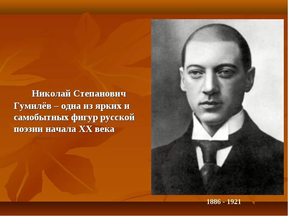 Гумилев ученый и писатель. Гумилев поэт серебряного века. Николайстепановичгумиев.