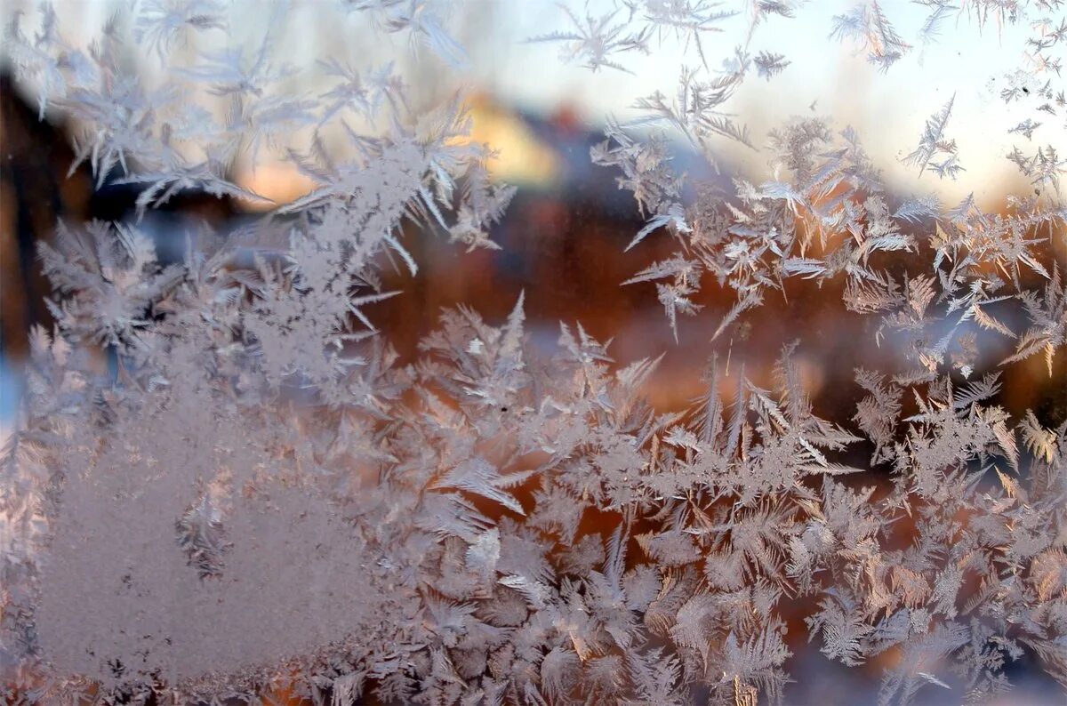 При сильных морозах на стеклах. Мороз. Морозное окно. Мороз фото. Морозное лето.
