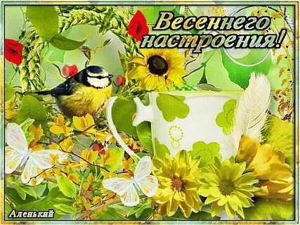 Доброго весеннего дня и прекрасного
