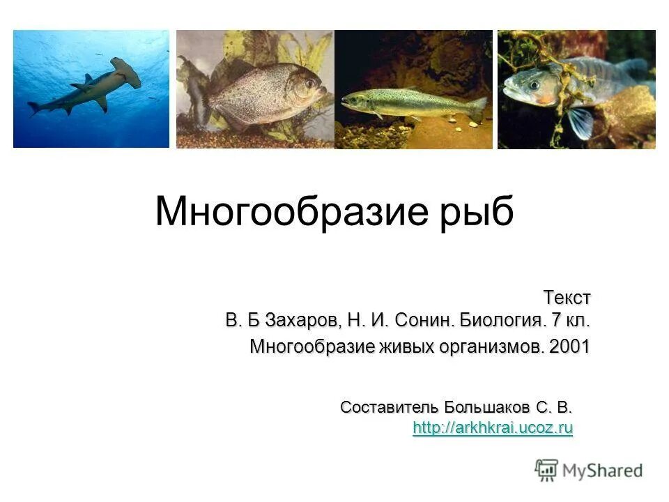 Многообразие рыб 7 класс. Разнообразие рыб. Рыбы биология многообразие. Многообразие рыб презентация. Урок многообразие рыб.