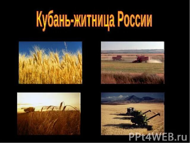Что называют кубанью. Краснодарский край презентация. Диалектизмы кубани. Территория кубани в краснодарском крае. Что называют кубанью.