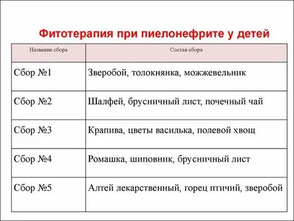 Пиелонефрит народные