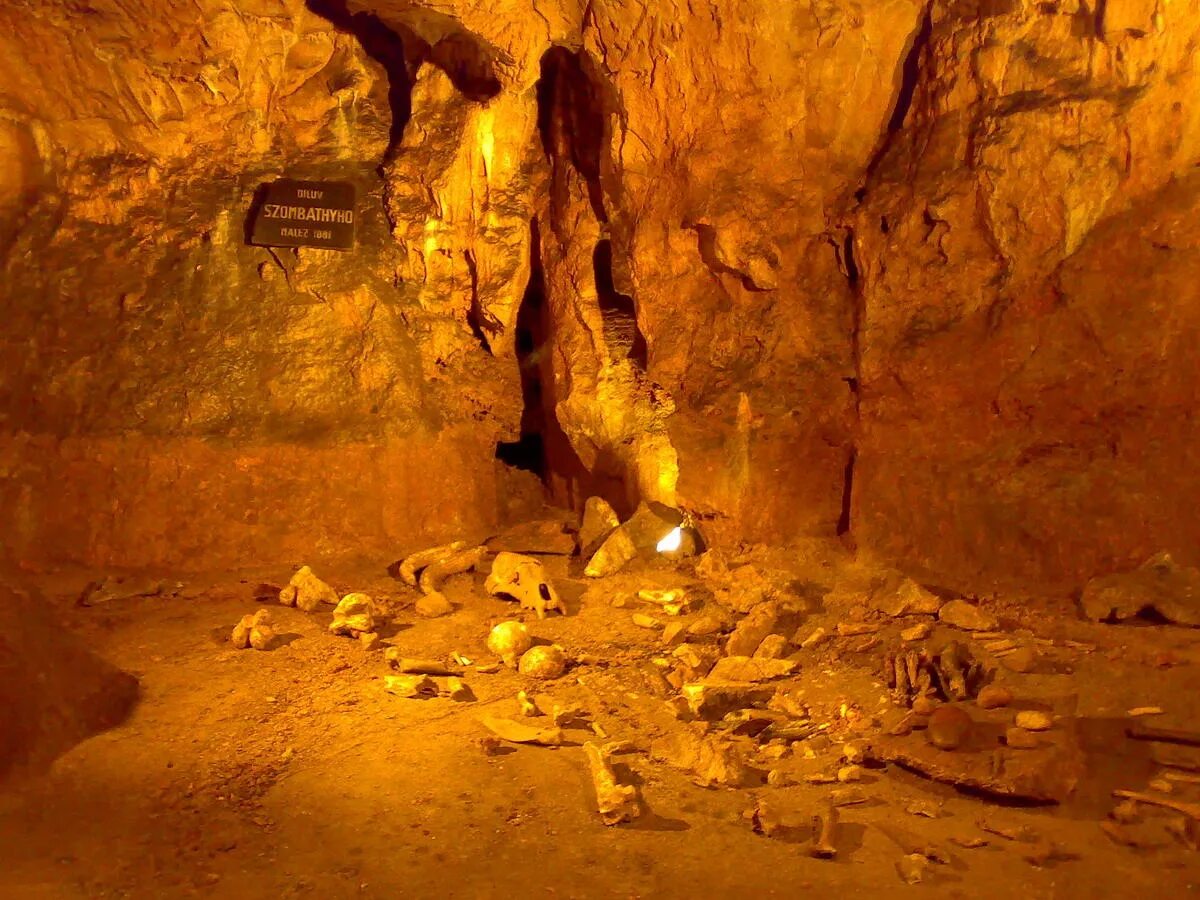 Первобытная пещера. Пещера в древности. Пещера первобытного человека. Пещера жилище первобытного человека.