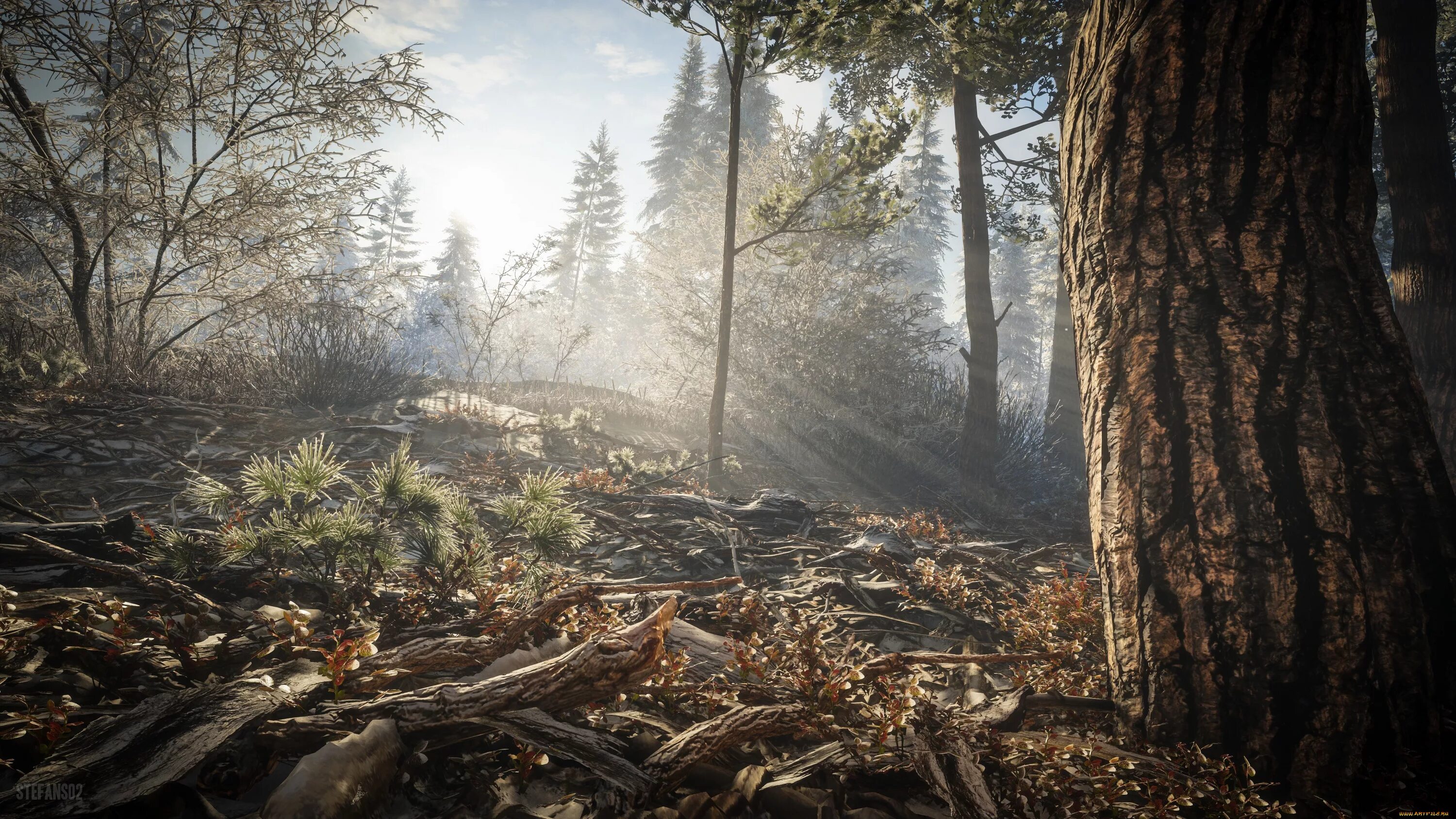 Call of the wild freetp. The hunter call of the wild. the hunter call of the wild обои. hunting call of the wild. еру ргтеук сфдд ща еру цшдв тфегку.