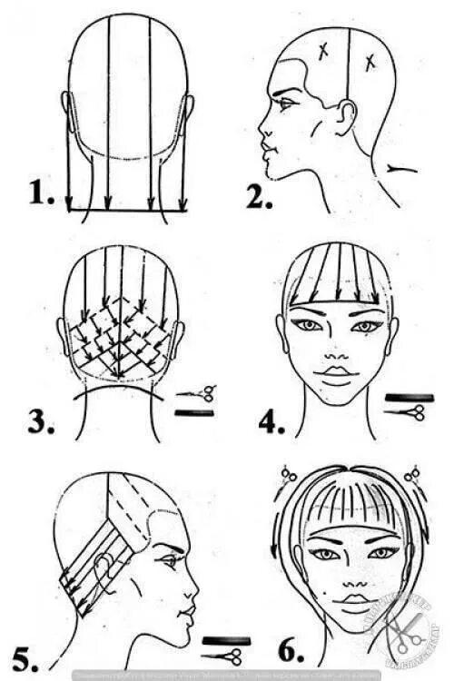 Схема подстричь. Градуированный Боб схема. Градуированный Боб схема стрижки. Схема стрижки Боб каре градуированное. Стрижка градуированное каре схема выполнения.