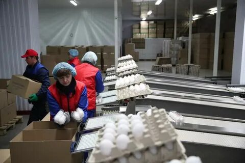 Дмитровская птицефабрика