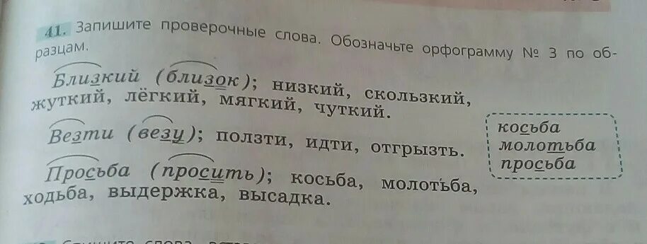 Орфограмма в слове идет. Орфограмма проверочное слово. Запишите проверочные слова обозначьте орфограмму. Слова с орфограммами и проверочными словами. Запишите проверочные слова по образцу.