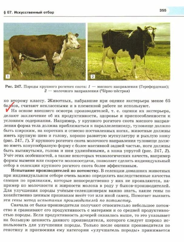 Подбор производителей. Подбор производителей. Подбор производителей. Подбор производителей. Подбор производителей.