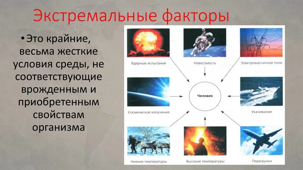 К экстремальным условиям относятся. Экстремальные факторы среды. Экстремальные условия среды. Экстремальные воздействия на организм. Экстремальные условия окружающей среды и здоровье человека..