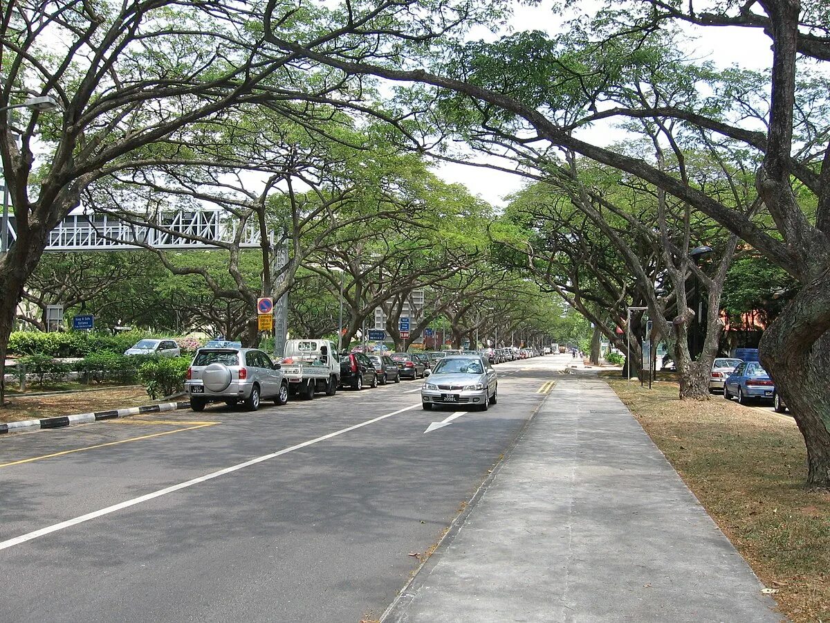 East Coast Road Singapore. Singapore East Coast Park. Coastal Parkland.